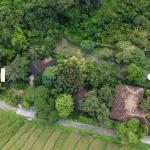 14,5 Are Land for Sale in Canggu - Freehold