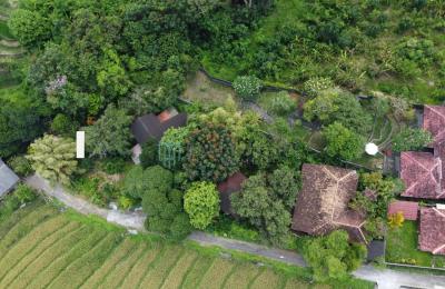 14,5 Are Land for Sale in Canggu - Freehold