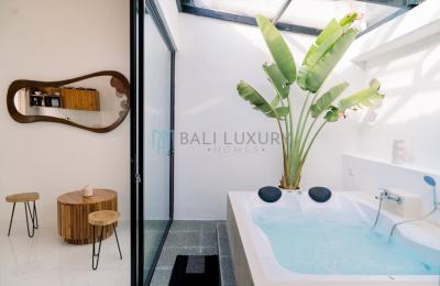 2 Bedroom Mezzanine Villa with Jacuzzi, Canggu - Monthly