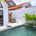 2-Bedroom Villa with Private Pool near Seseh Beach - Yearly Rental