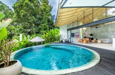 Luxury 2 Bedroom Villa with Private Pool and Jungle View - Monthly Rental