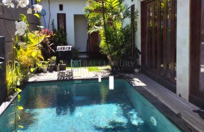 Cozy 2 Bedroom Villa in Sanur - Yearly Rental