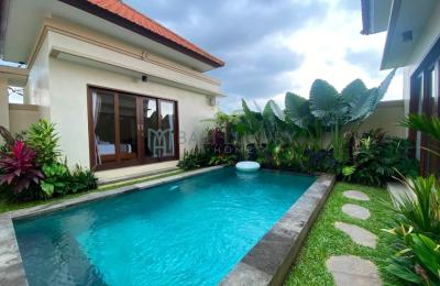 Cozy 2-Bedroom Villa with Private Pool in Singapadu Kaler, Ubud - Yearly Rental