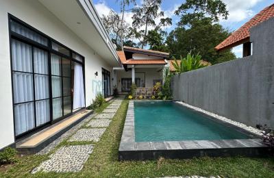 Charming 4-Bedroom Villa with Private Pool in Kerobokan near Canggu - Yearly Rental