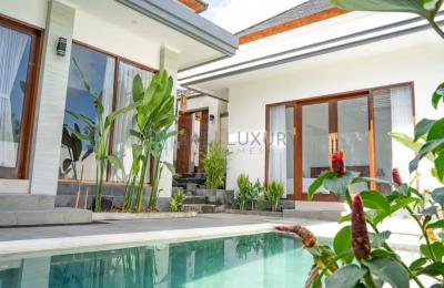 Tropical 2-Bedroom Enclosed Living Villa with Private Pool and Rooftop Terrace in Canggu - Yearly Rental